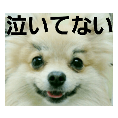 haruna_20200618115736