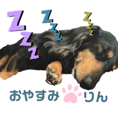 ayumi_20200617213520