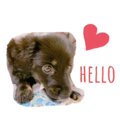 hana's sticker!!