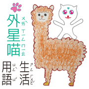 Cat came from the stars with Bear FORYOU