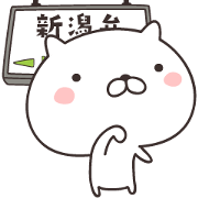 cute cat -nigata-