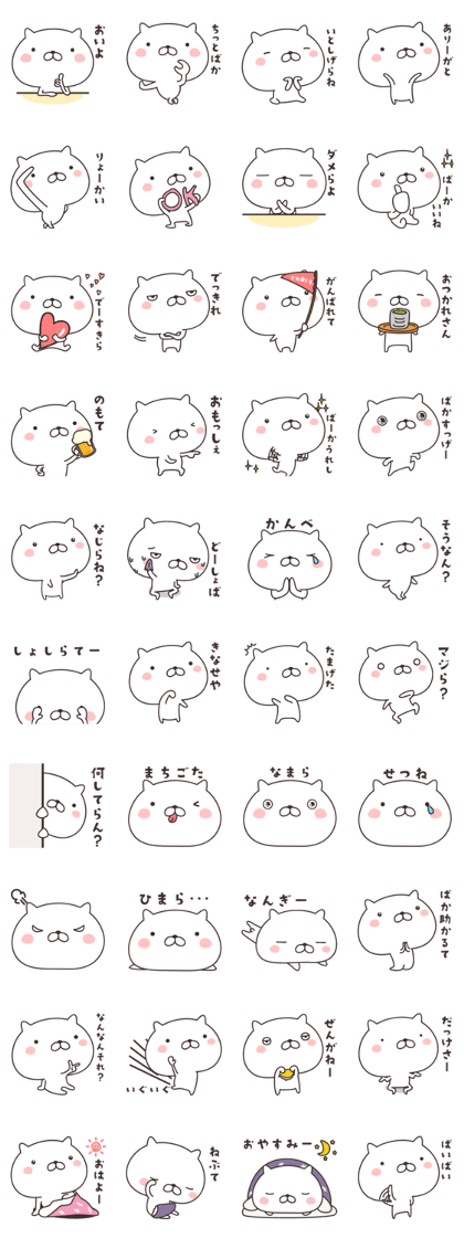 cute cat -nigata-