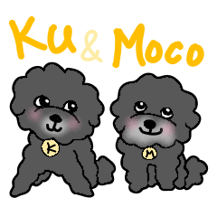 Black Poodles Ku&Moco 3