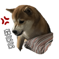 kingking的日常♡