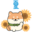 Shiba inu summer sticker