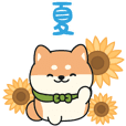動く ころころ柴犬 Line スタンプ Line Store
