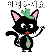 The black cat Korean version