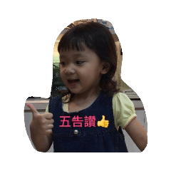 黃肉球