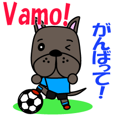 Uruguay football dog
