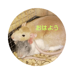 oonishi_20200617201501