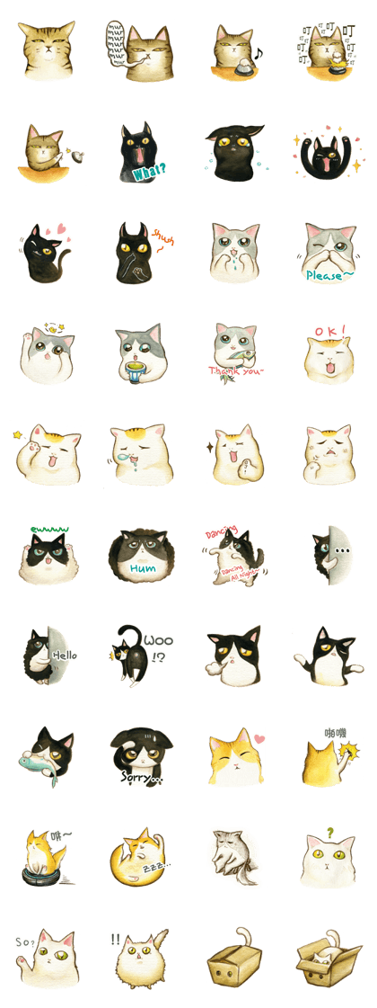 Cat's afternoon
