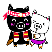 Black and white pig