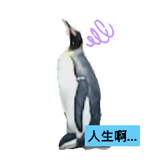 動物小短篇