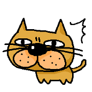 life of the plain-looking cat