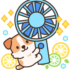 Cheerful and cute Jack Russell Terrier2