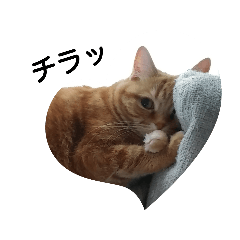 yukari_20200618122226