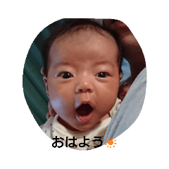 Kokiaoi