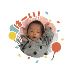 panda_20200618124858