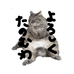 JUNKO_20200618145611