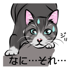 ものぐさ猫の日常スタンプ Line スタンプ Line Store