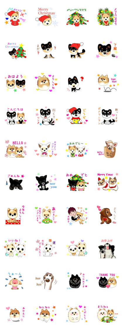 PON.de.Pomeranian2