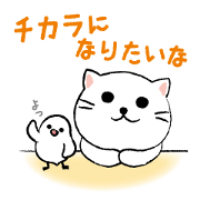 White cat's and Java sparrow,2