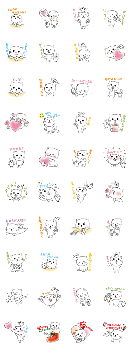 White cat's and Java sparrow,2