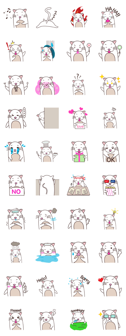 Noah the Cat