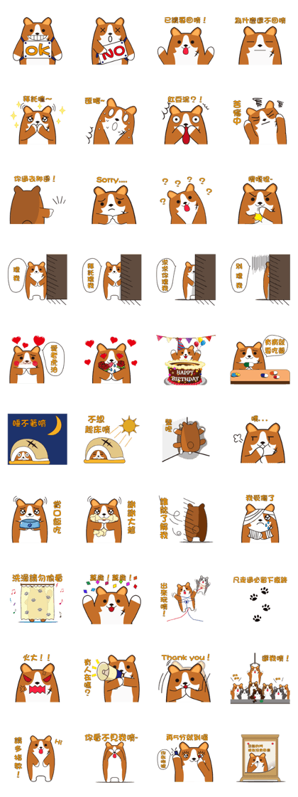 Ko Po Dog