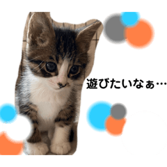 kanae_20200618153749