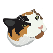 Silly Pet Cats