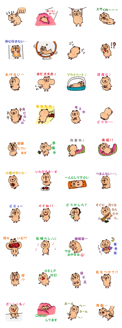 Kinkuma hamster "Hamuhamu"5