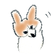 Corgie Hanachan