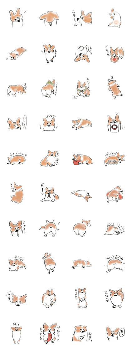 Corgie Hanachan