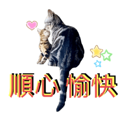 貓太郎maiutalong—與吉米日常