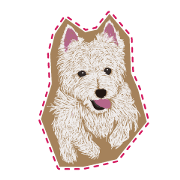 westie Hachibe3