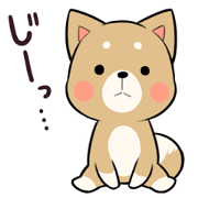 PRETTY PUPPY2