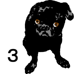 black pug Stickers 3