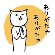 Mr.MiyaoNekono