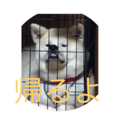 akiko_20200618123206