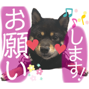 kobayashi fukusuke_20200618191438