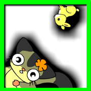 Sugar glider's
