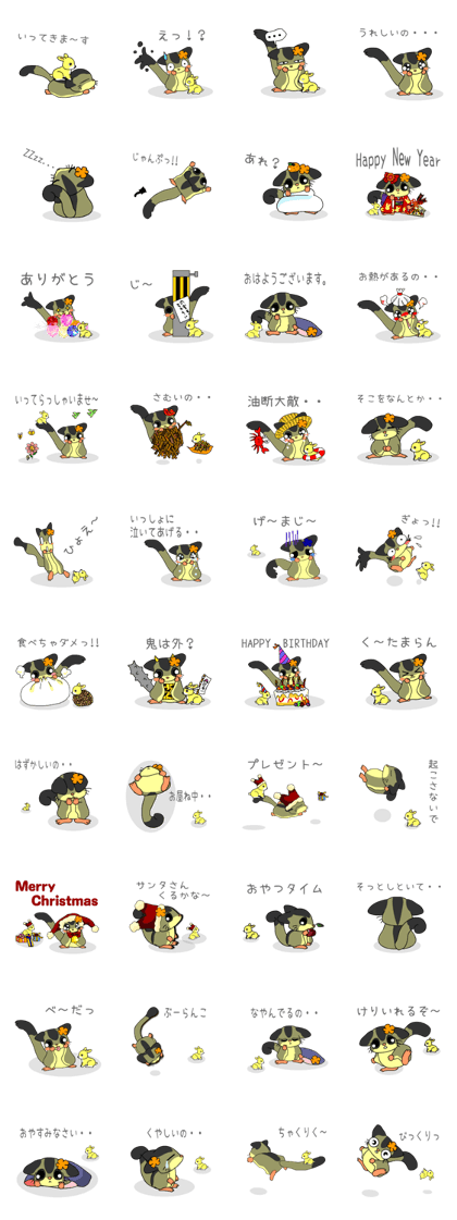 Sugar glider's