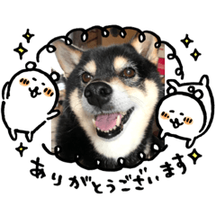 chie_20200618123701