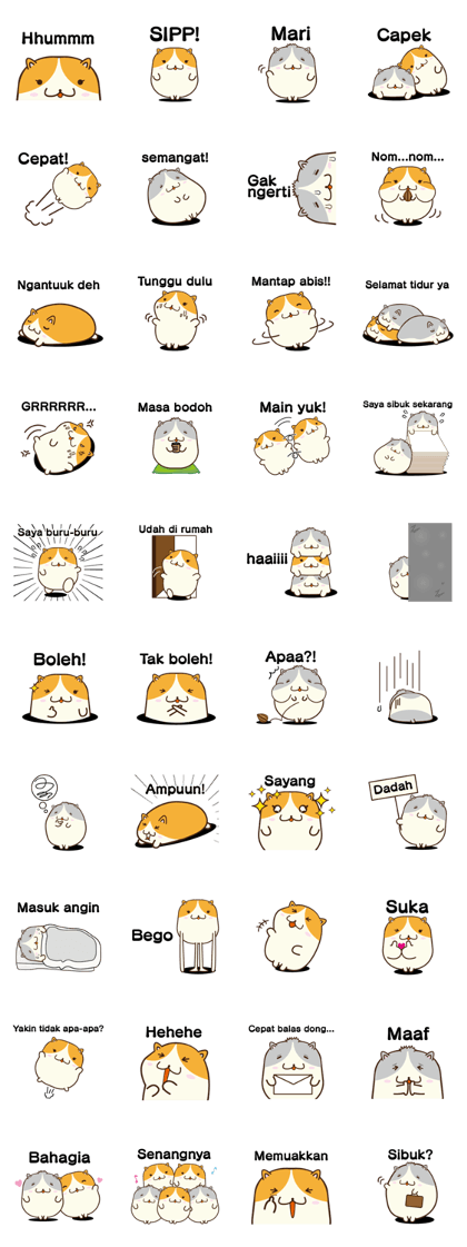honoboho hamster(Indonesian)