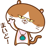 oosaka cat