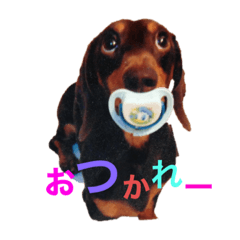 tomomi_20200618220547