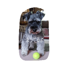 saori_20200618221452