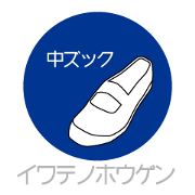 Dialect of Iwate