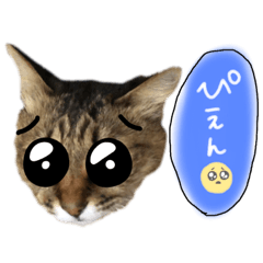 tomomi_20200618223016